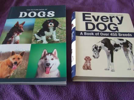 Photo of free 2 books about dogs (Barnard's Green WR14) #1