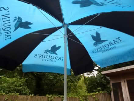 Photo of free Large Tarquin parasols - 3x to go (YO22) #3