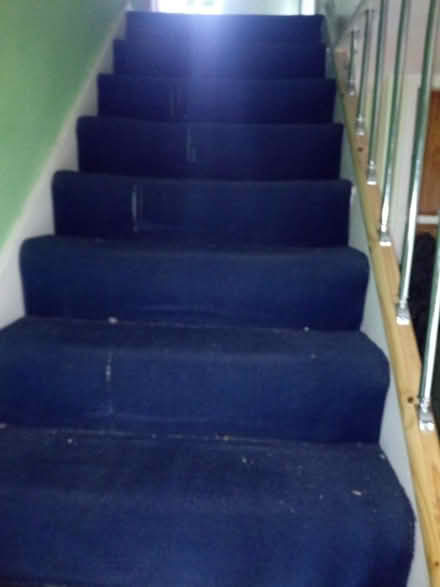 Photo of free Carpet for allotment (Harpur Hill SK17) #1