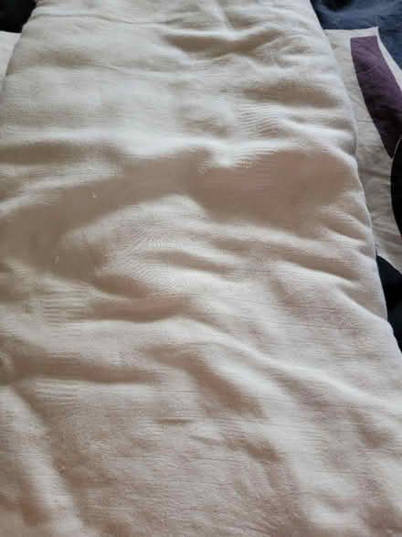 Photo of free Full sized 100% cotton sheet set (Udist) #1