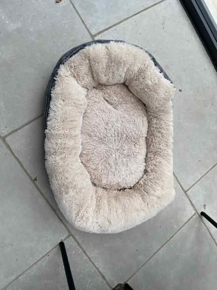 Photo of free Cat bed (Highbury and Islington N1) #1
