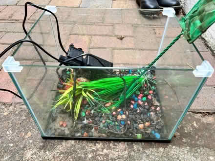 Photo of free Small Fish tank (South Kirkby WF9) #1