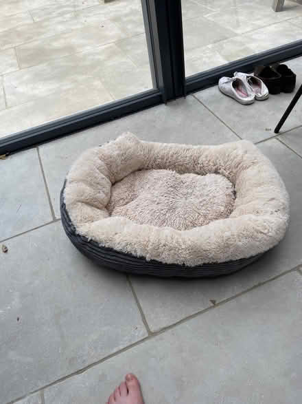 Photo of free Cat bed (Highbury and Islington N1) #2