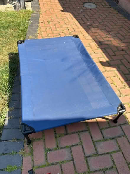 Photo of free Raised Dog Platform (DE21) #2