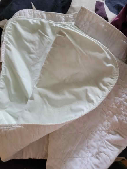 Photo of free 2 used bed/pee pads 32x48 (Udist) #1