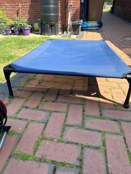 Photo of free Raised Dog Platform (DE21) #3