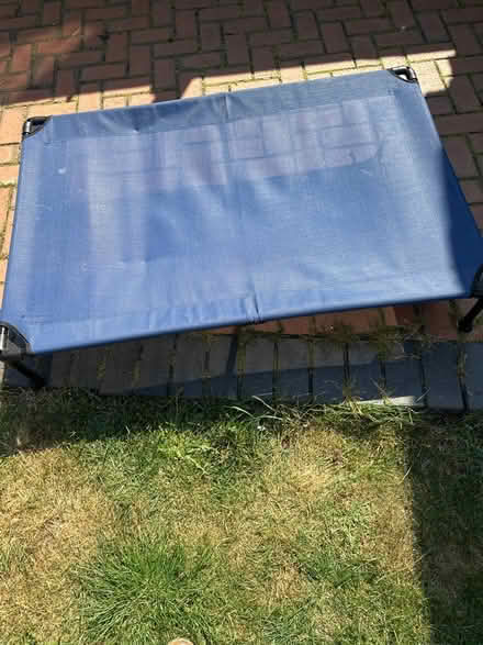 Photo of free Raised Dog Platform (DE21) #1