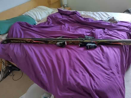 Photo of free Salomon semi-carver skis (Penrith CA11) #2
