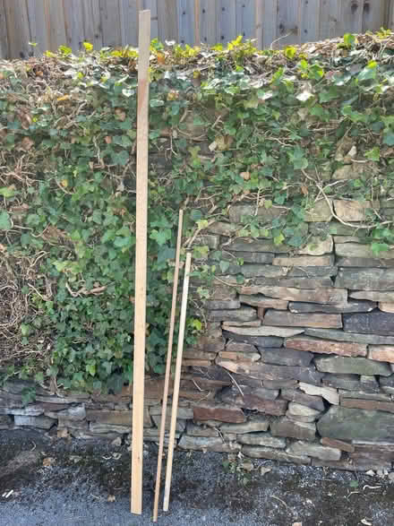 Photo of free Wood & dowel (Broomhall S10) #2