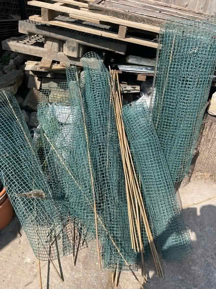 Photo of free Garden net / bamboo stakes (Bury north. BL9) #1