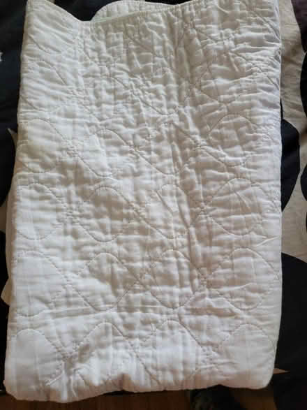 Photo of free 2 used bed/pee pads 32x48 (Udist) #2