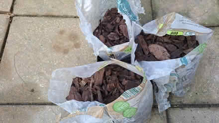 Photo of free B&Q Woodchip/ Bark Chippings, Mulch (Forest Hill SE23) #2