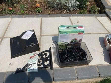 Photo of free Various garden (Hitchin Ninesprings area) #1