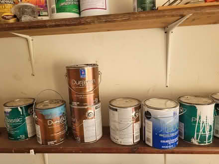 Photo of free Paint (Cordova) #1
