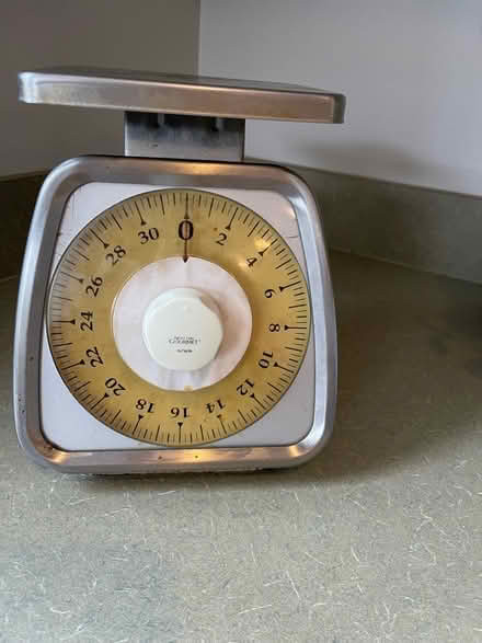 Photo of free Vintage Taylor scale (Vienna) #1