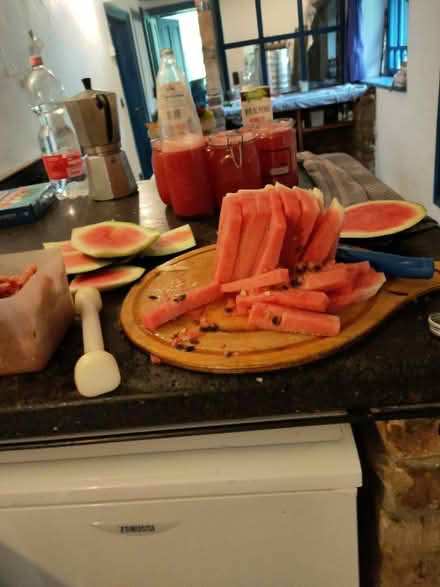 Photo of Fruit/Vegetable Juicer (Wicklow) #1