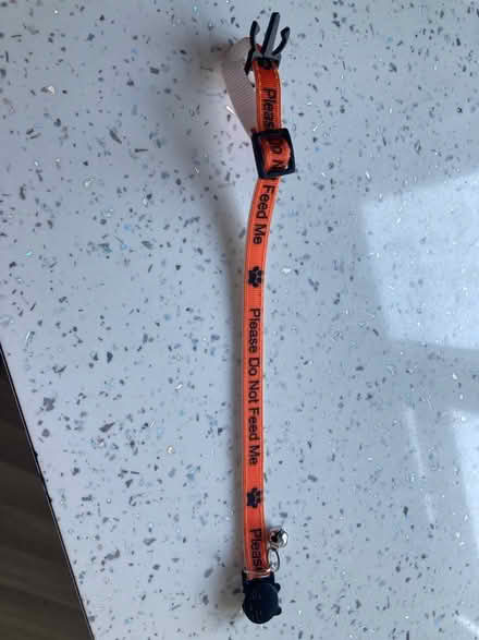Photo of free Cat Collar New (Coppull Chorley) #1