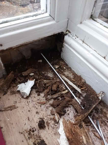 Photo of Timber (harborne) #1