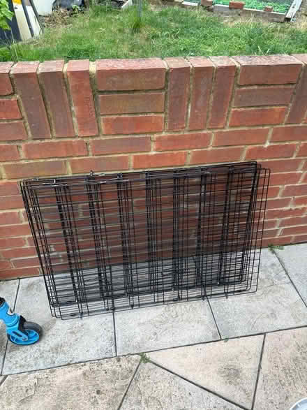 Photo of free XL dog cage (N11) #1