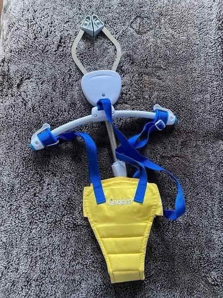 Photo of free Baby door swing/bouncer (G76) #1