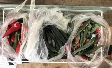 Photo of free Frozen Chilli Peppers (Pinner HA5) #1