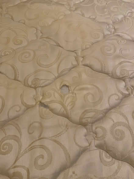 Photo of free King Sleep Number bed (Midtown) #1
