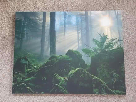 Photo of free Canvas Pictures & Framed Print (TN23) #2