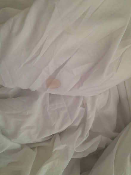 Photo of free KingSize Duvet 13.5tog (Bishops Walatham, SO32) #1