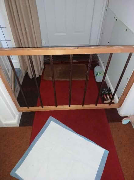 Photo of Babies cot sides. (Mile Cross NR3) #1