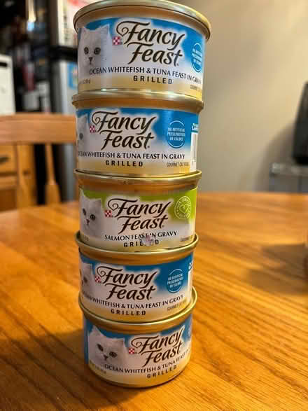 Photo of free cat food (Amelia) #1