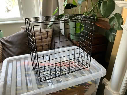 Photo of free Letterbox cage - to protect postie (TN35 Ore) #1