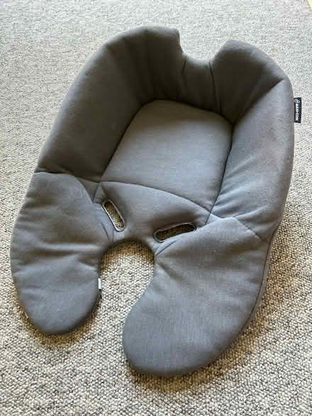 Photo of free Newborn car insert (Sudbrooke LN2) #2