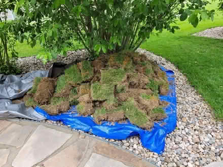 Photo of free large pile of fill dirt (Southeast Fort Collins) #1