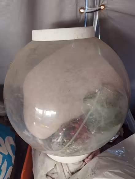 Photo of free Biorb fish tank (East Dulwich SE22) #1