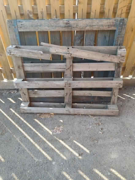 Photo of free Pallets (Gildersome LS27) #1