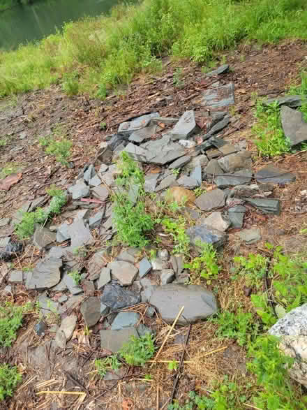 Photo of free Blue stone pavers (Clinton Corners) #1
