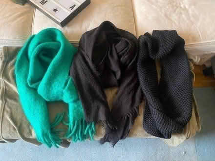 Photo of free Three women’s scarves - zara mango (SE1) #1