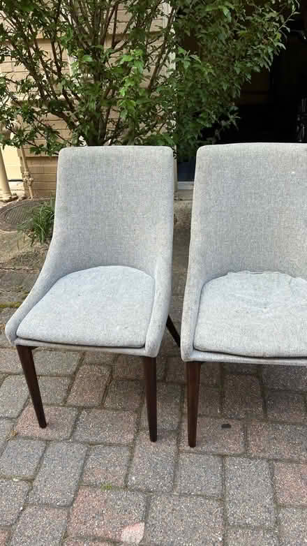 Photo of free 2 chairs (Clarendon metro,Arlington, VA) #2