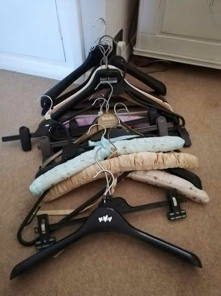 Photo of free Coat hangers (Pershore, WR10) #1