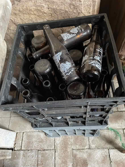 Photo of free Empty bottles for beer /ginger beer (Mosman) #1