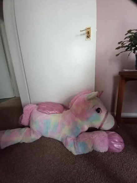Photo of free Large cuddly toys (Lochend EH7) #2