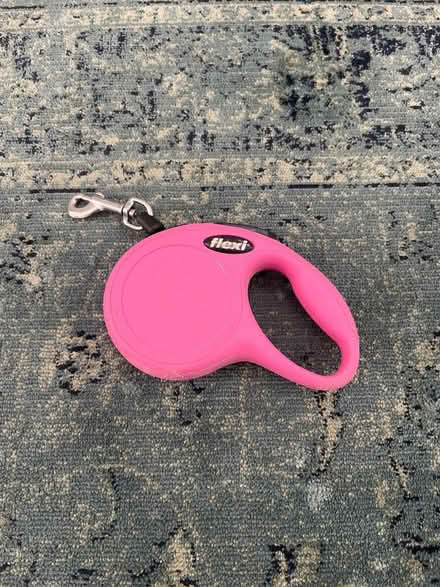 Photo of free Very Small Cat Leash (Chester Springs) #1