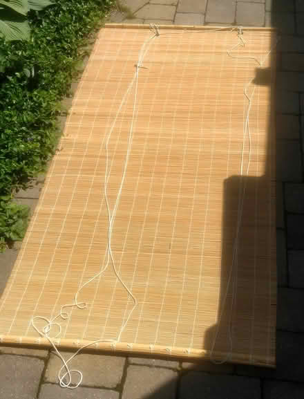 Photo of free reed blind (Watertown) #2