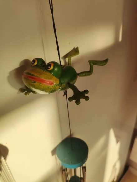 Photo of free Frog Wind Chimes (Chingford, E4) #2