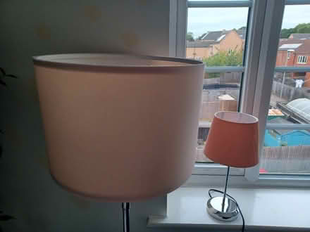 Photo of free Pink Lampshades (Queen's Hills NR8) #1