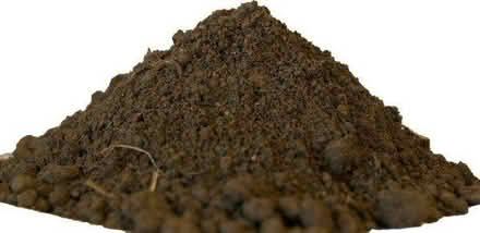 Photo of Top soil for garden project (Coventry CV6) #1