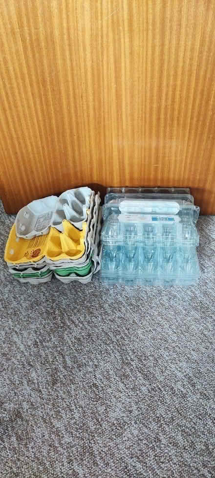 Photo of free Egg boxes (BH14) #1