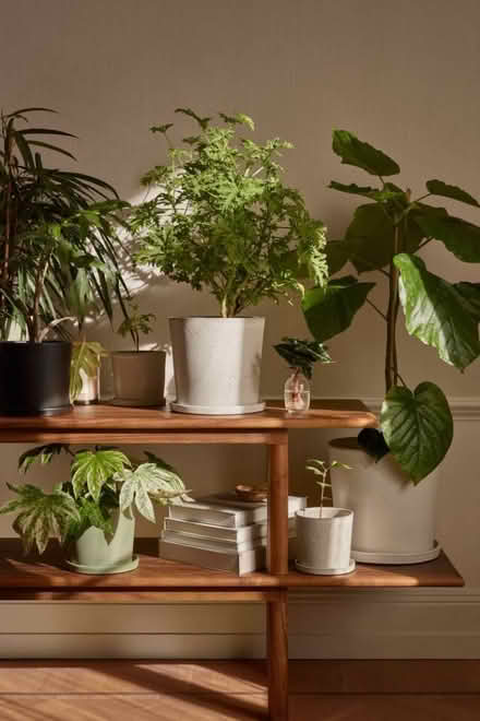 Photo of Stoneware plant pot (Berrylands KT5) #1