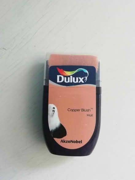 Photo of free Paint tester pot copper blush (Greystones S11) #1