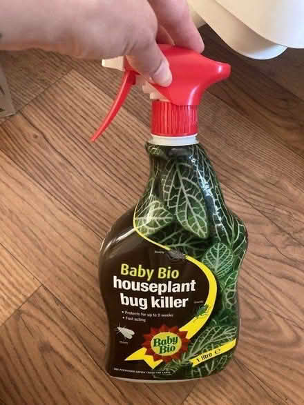 Photo of free Houseplant bug spray (Haymarket, EH11) #1